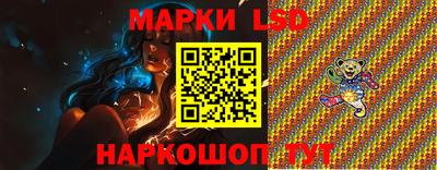 гидропоника Тверь