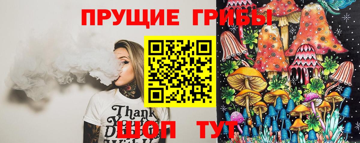 Псилоцибиновые грибы мухоморы  дарнет шоп  Нижнеудинск  Псилоцибиновые грибы мицелий  Вход с VPN 